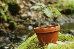 10tro Grejsdalens Efterskole chfotofilm video